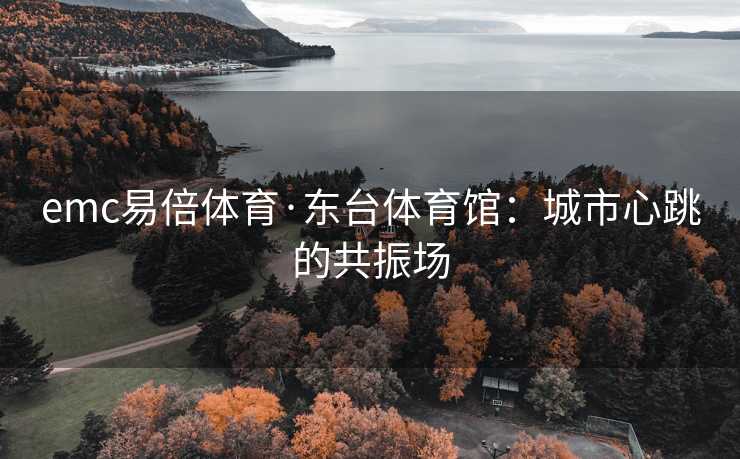 emc易倍体育·东台体育馆：城市心跳的共振场