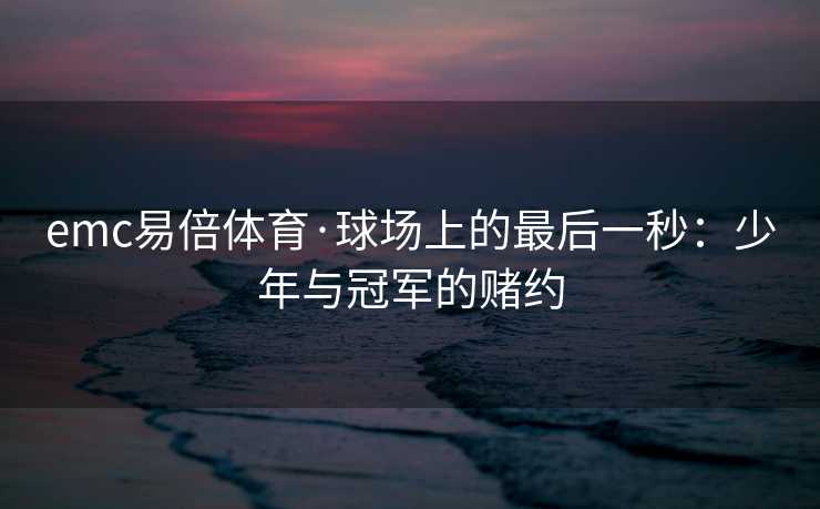emc易倍体育·球场上的最后一秒：少年与冠军的赌约