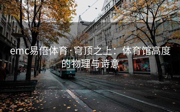 emc易倍体育·穹顶之上：体育馆高度的物理与诗意