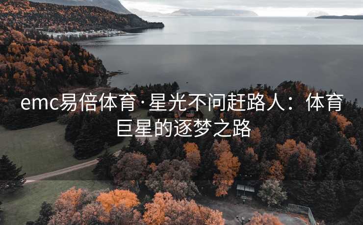 emc易倍体育·星光不问赶路人：体育巨星的逐梦之路